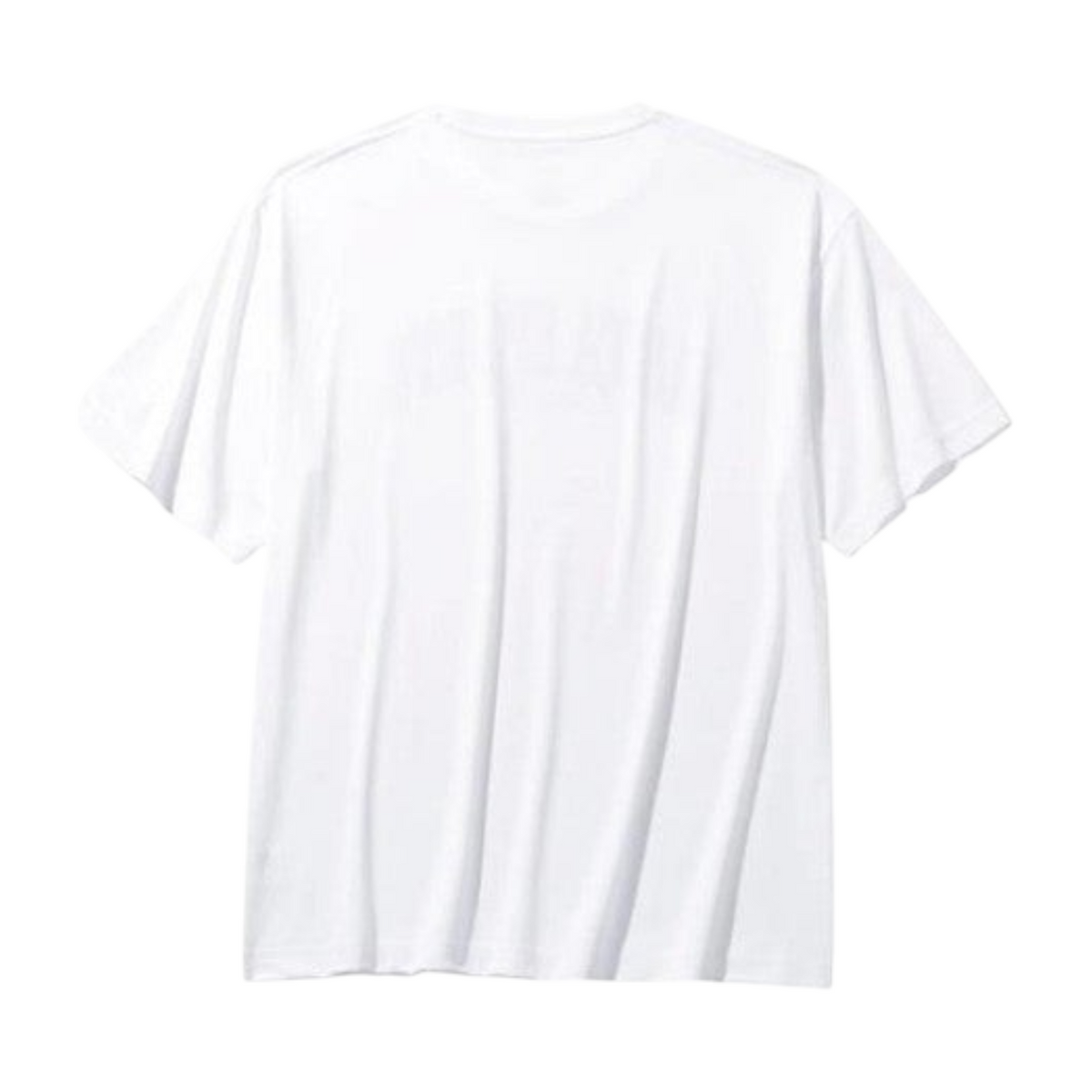 FRG ANTA white short sleeve lifestyle t-shirt with breathable cotton blend fabric, back view