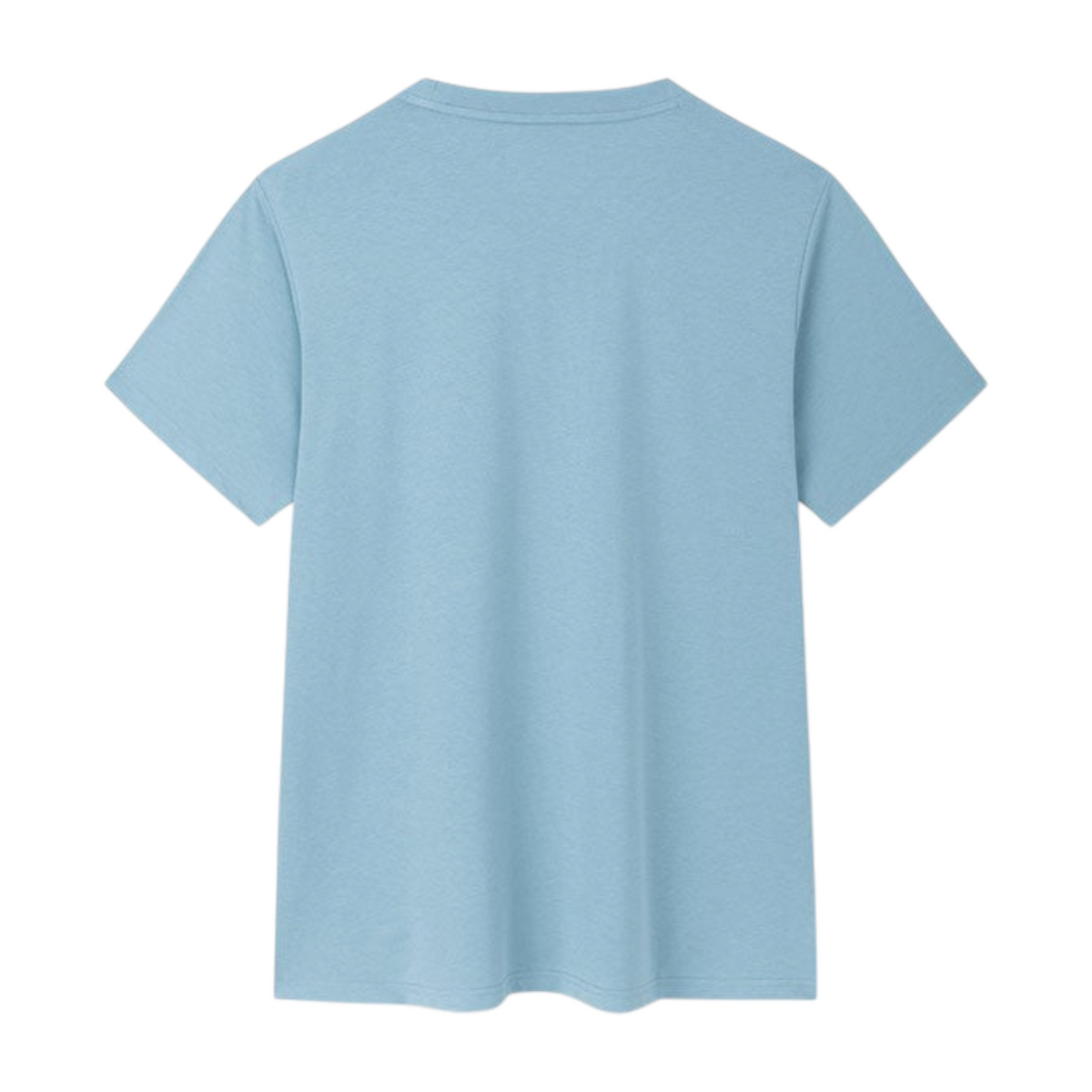 FRG ANTA blue short sleeve basketball t-shirt made from a soft cotton blend, shown from the back.