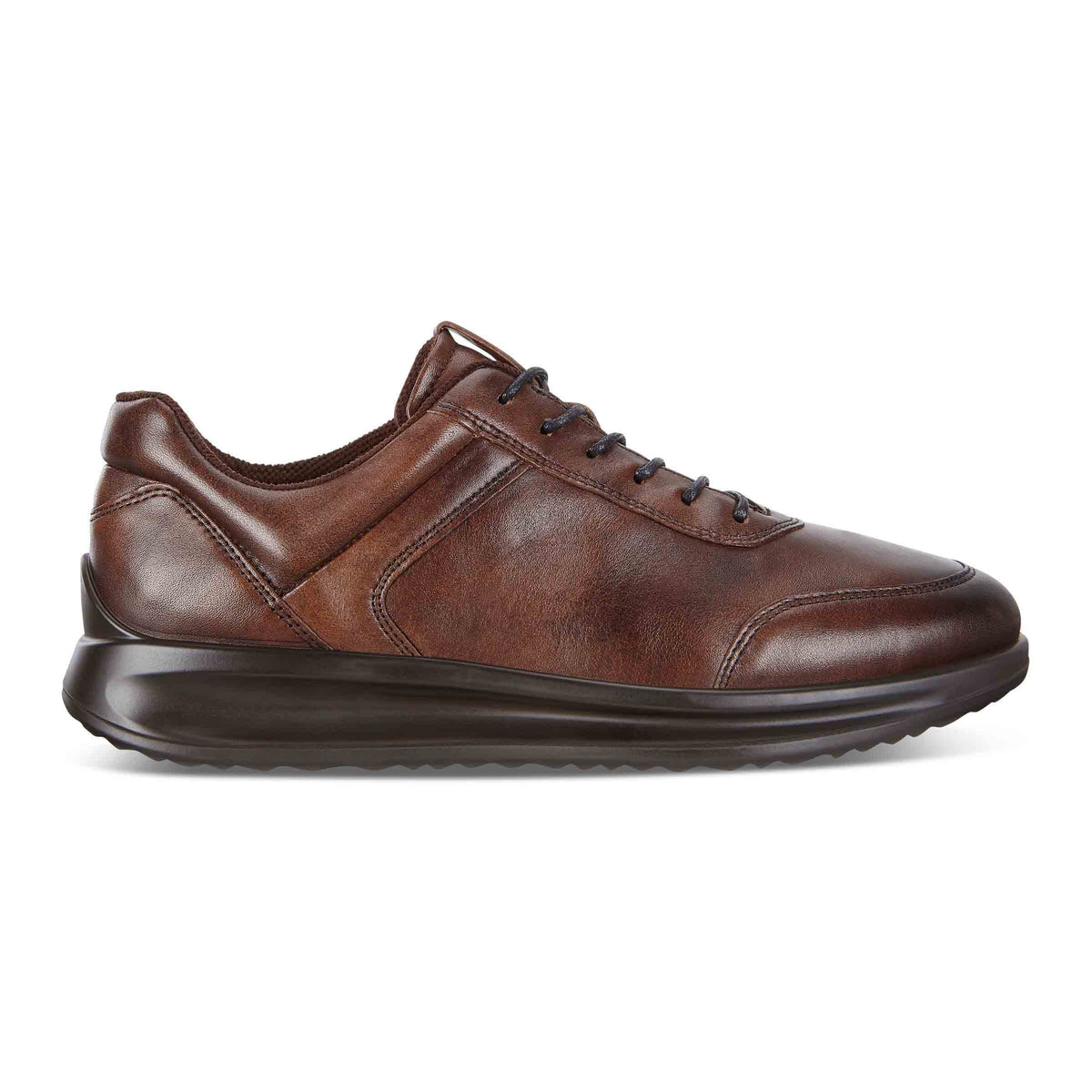 ECCO Aquet Men Cocoa Brown