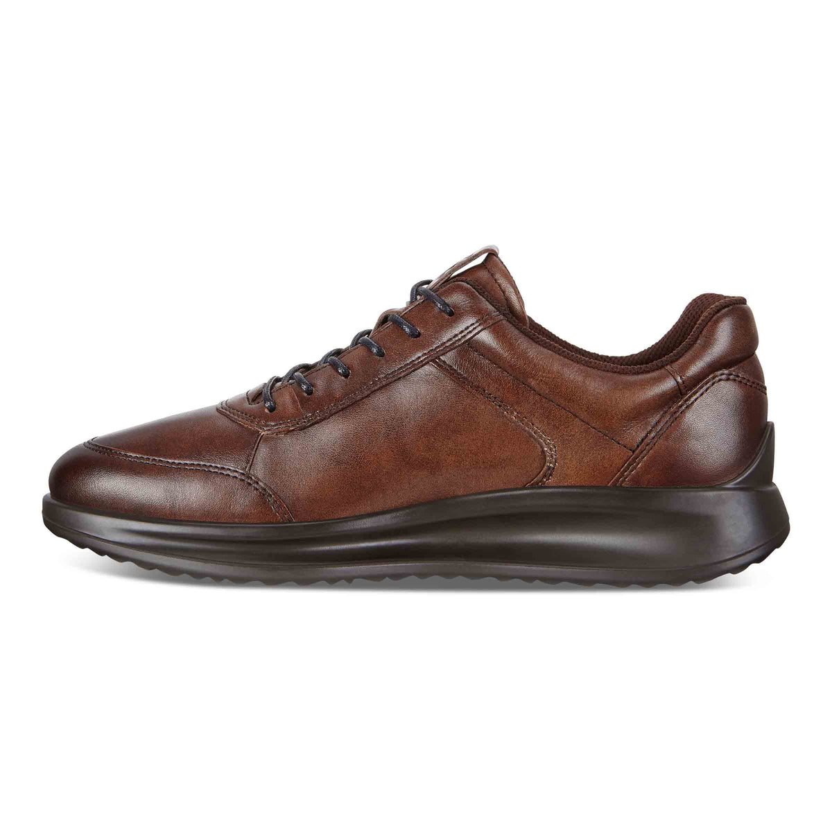 ECCO Aquet Men Cocoa Brown