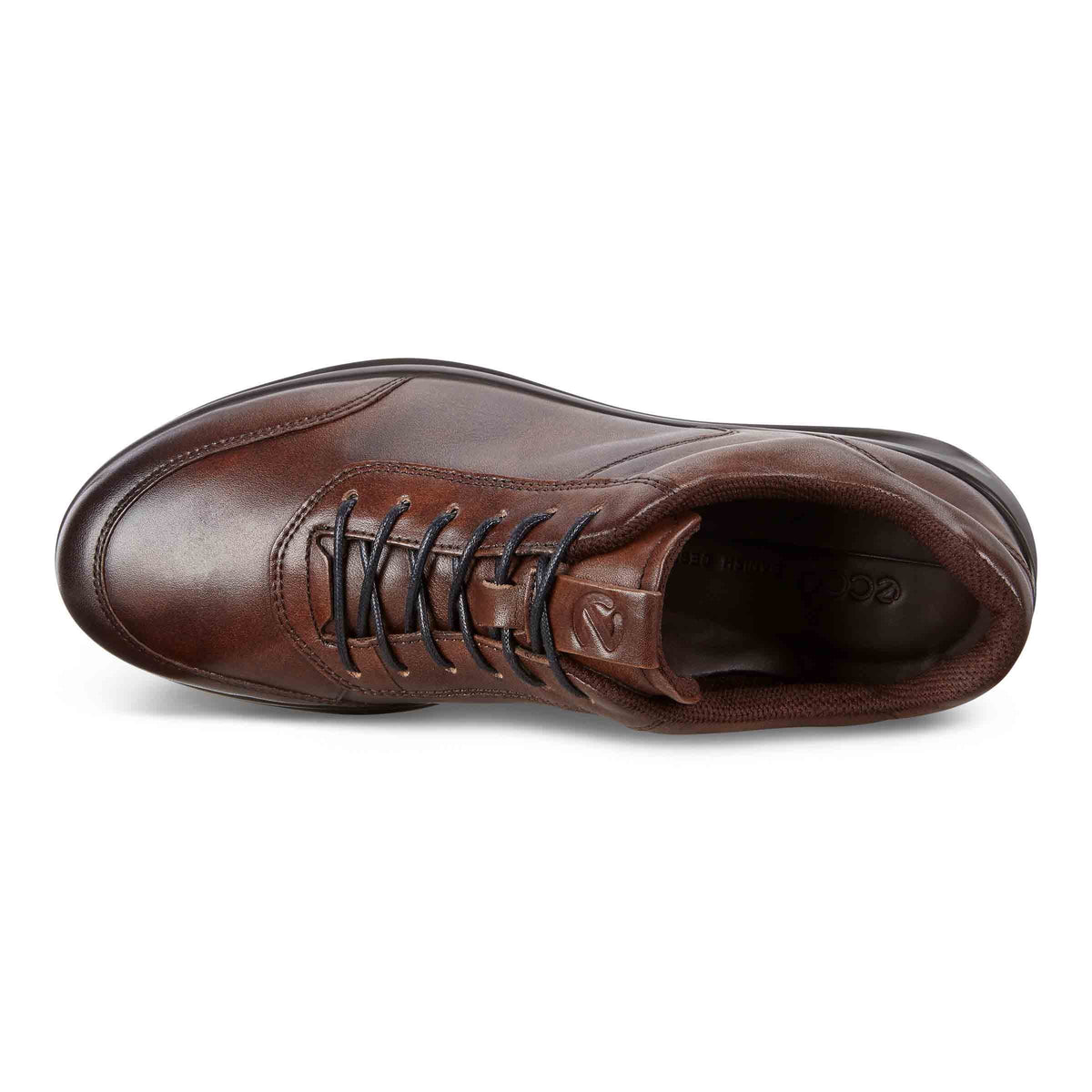 ECCO Aquet Men Cocoa Brown
