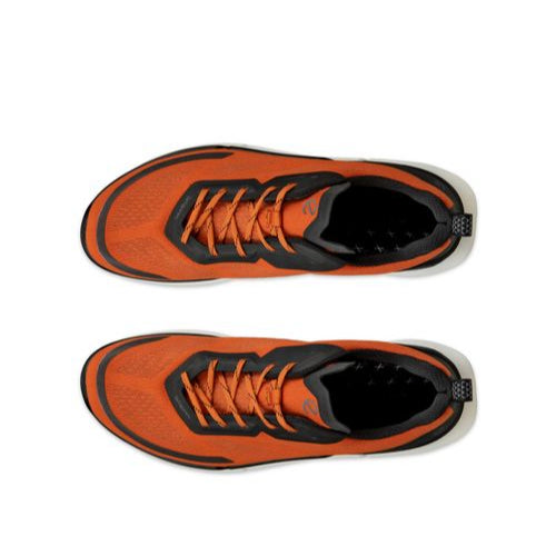 ECCO Biom 2.2 Men Terracotta
