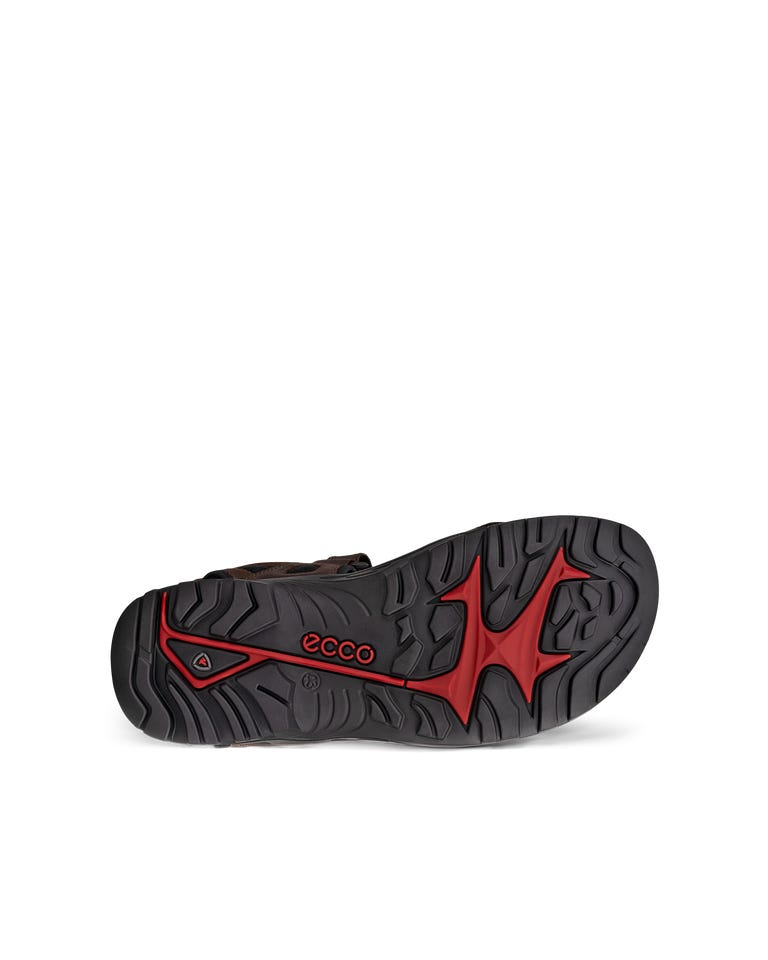 ECCO Offroad Men Mocha Mocha