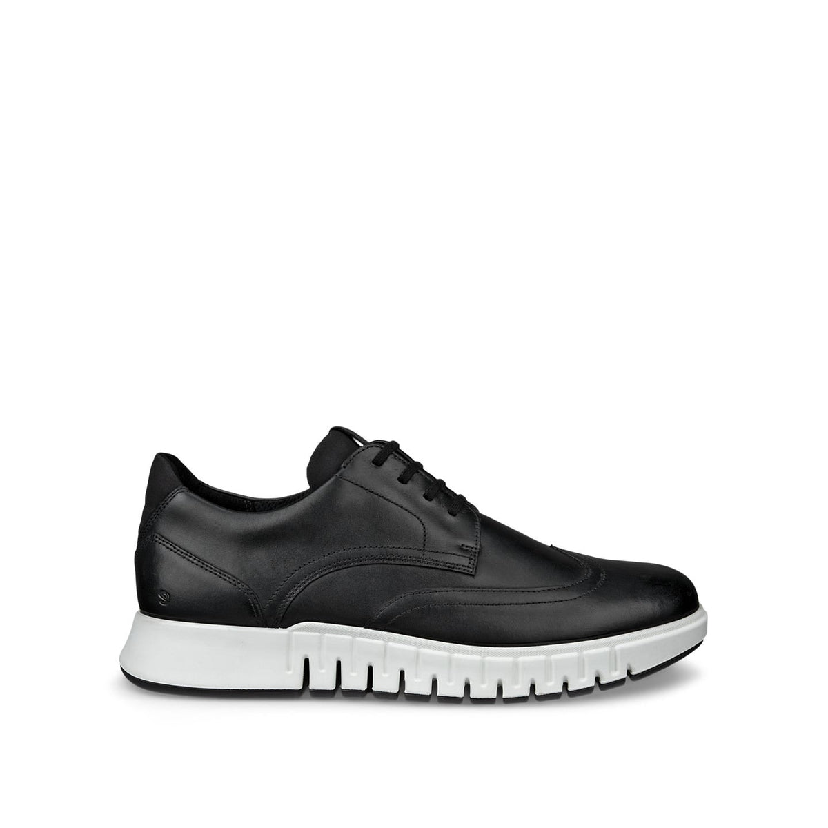 ECCO GRUUV STUDIO M WINGTIP