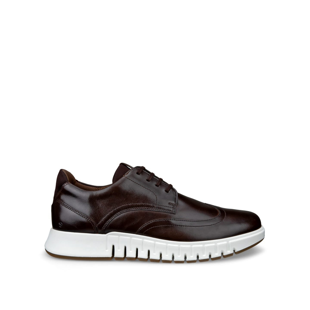 ECCO GRUUV STUDIO M WINGTIP