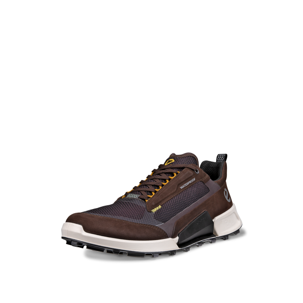 ECCO Biom 2.1 X Mountain Men Mocha