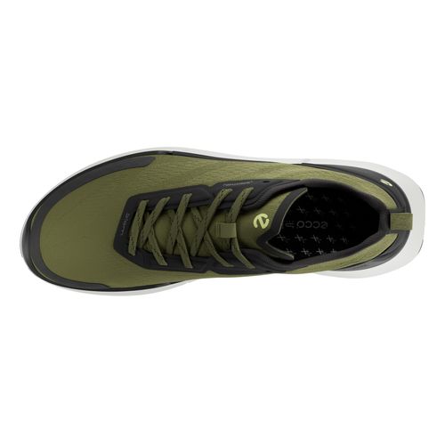 ECCO Biom 2.2 Men Acorn