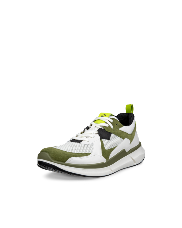 ECCO Biom 2.2 Men Acorn