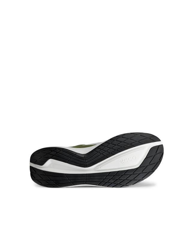 ECCO Biom 2.2 Men Acorn