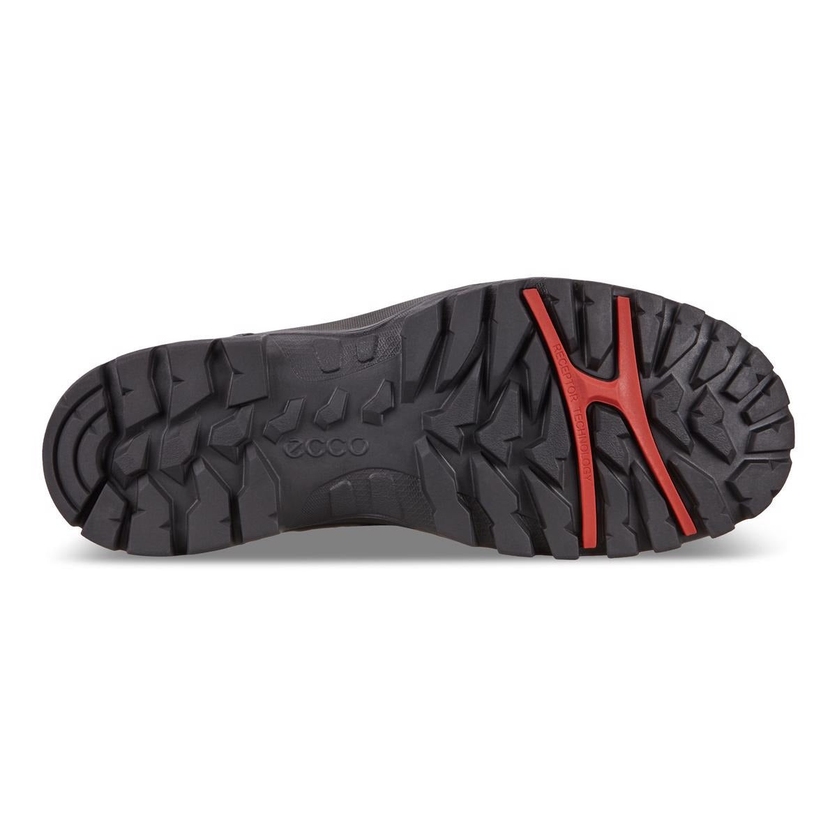 ECCO Xpedition III Men Black